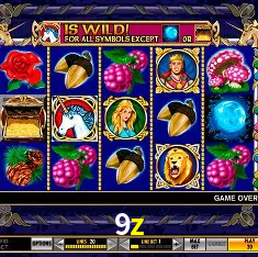 9z Brasília - VIP Program